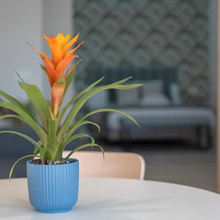 Loft The Ma アパート アデヘ