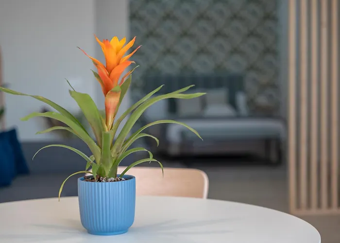 Loft The Ma Apartment Costa Adeje (Tenerife)